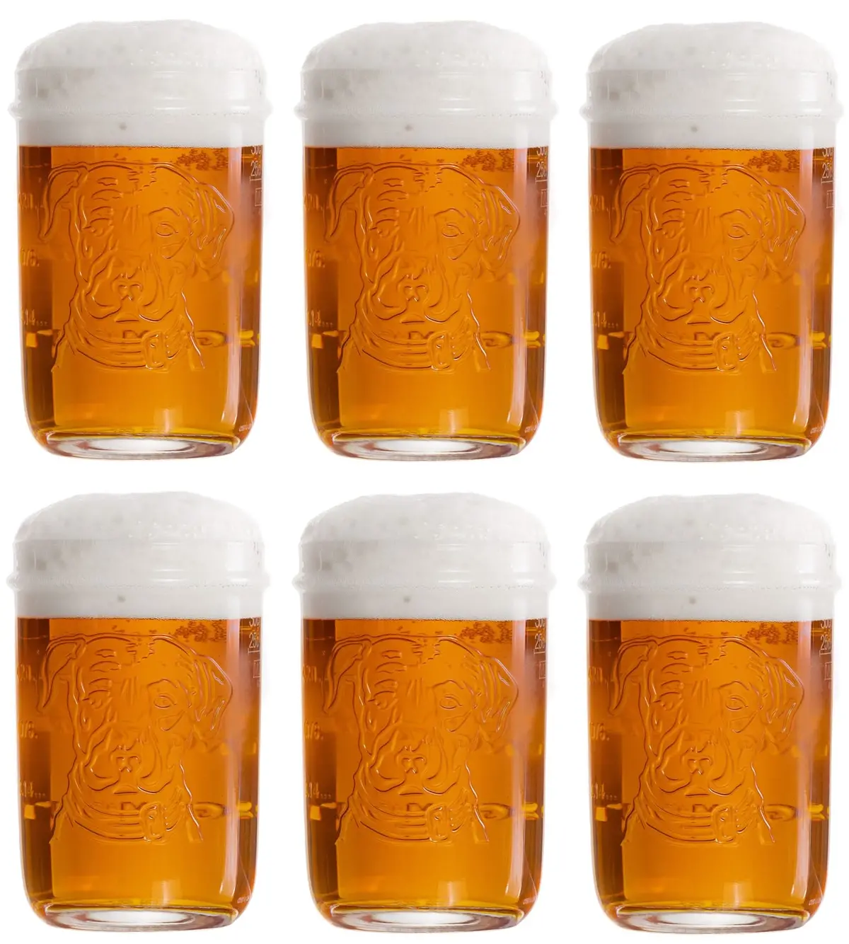 Lagunitas Bierglazen - 300 Ml - 6 Stuks 1