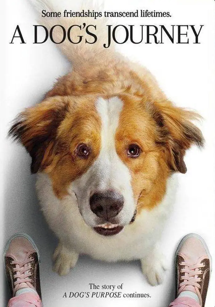 A Dogs Journey (Dvd Movie) 1
