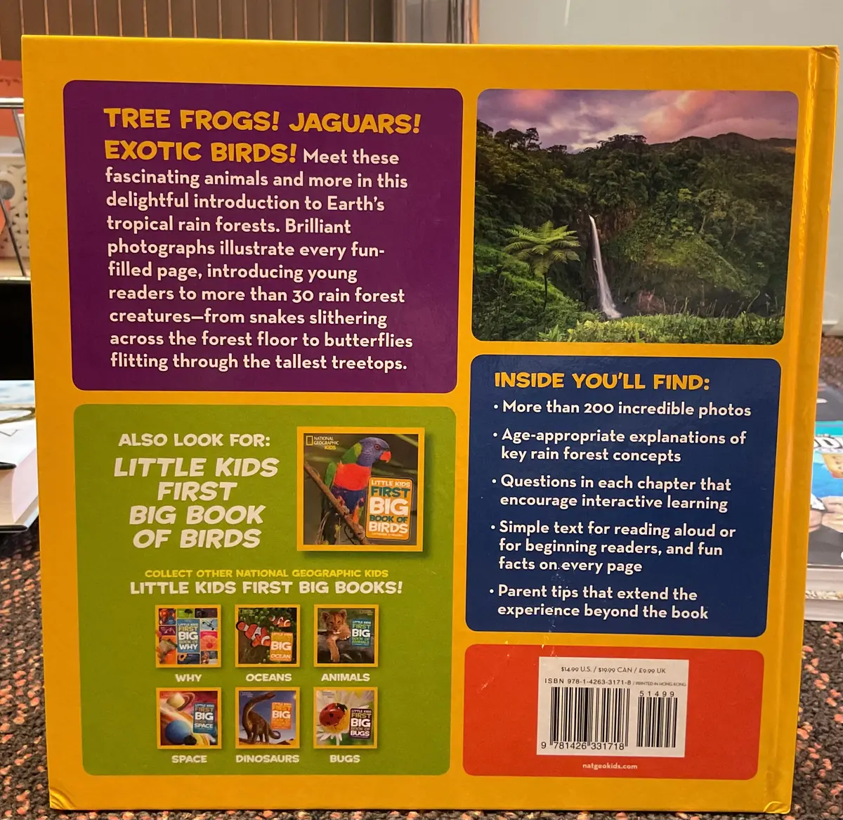 National Geographic Little Kids First Big Book Of The Rain Forest - By Moira Rose Donohue (Hardcover) 2