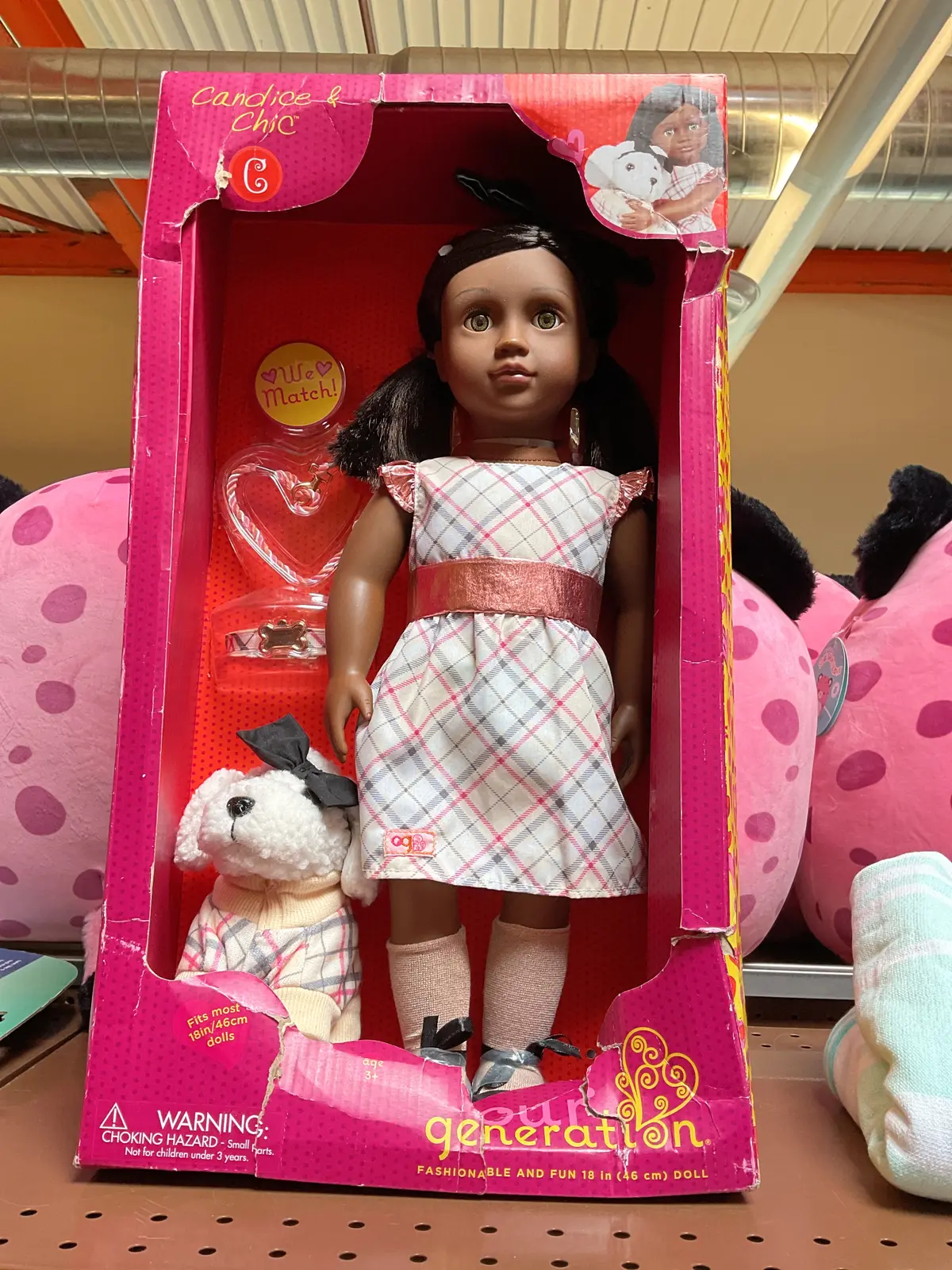 Our Generation Candice & Chic 18In Doll And Plush Dog - Damaged Box 1