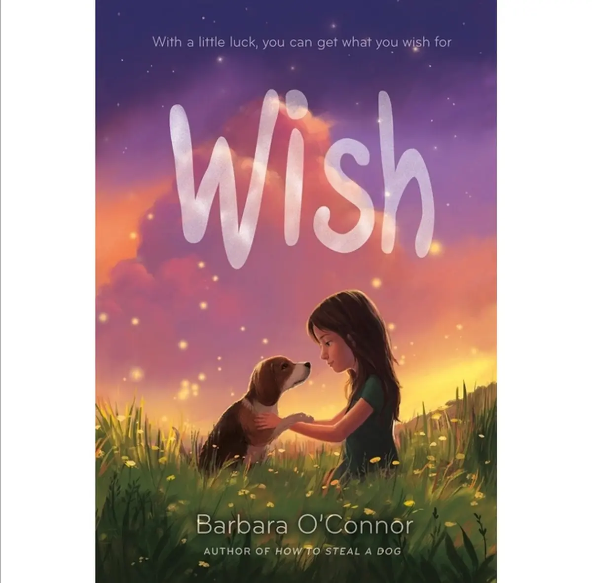 Wish - By Barbara O'connor (Paperback) 1