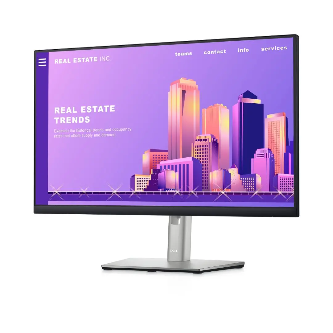 Dell 24 P2422h Fhd (1920X1080) 60Hz Ips Flat 1