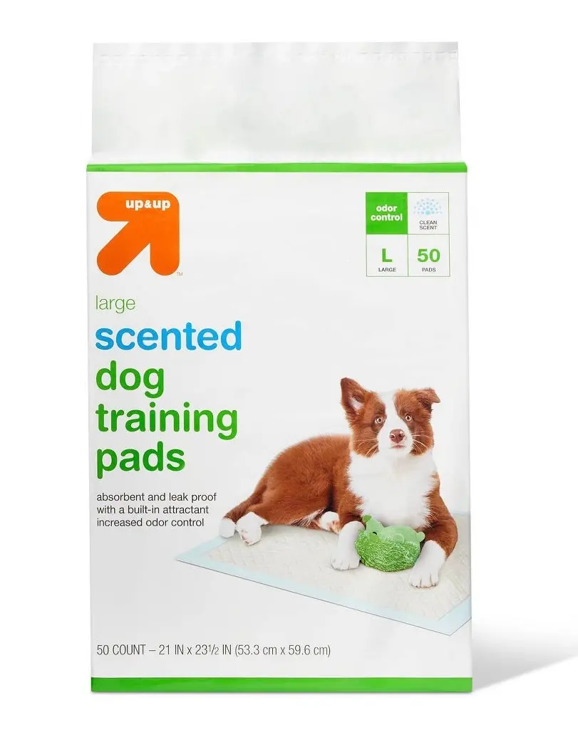 Puppy And Adult Scented Dog Training Pads - L - Clean Scent
- 50Ct 1
