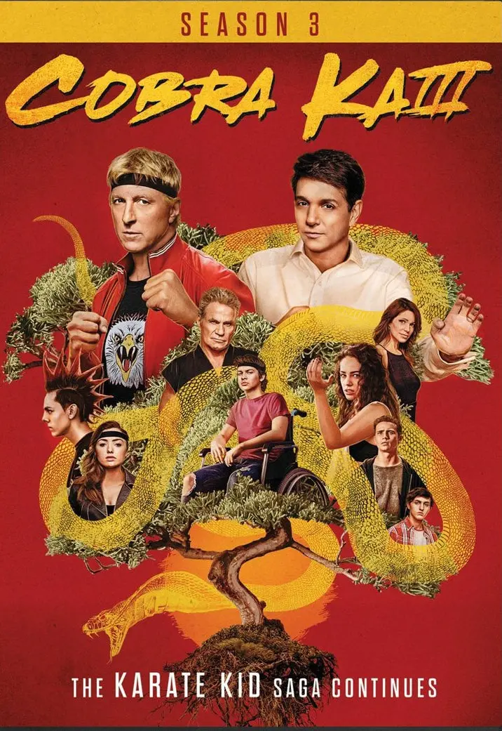 Cobra Kai Season 3 (Dvd) 1