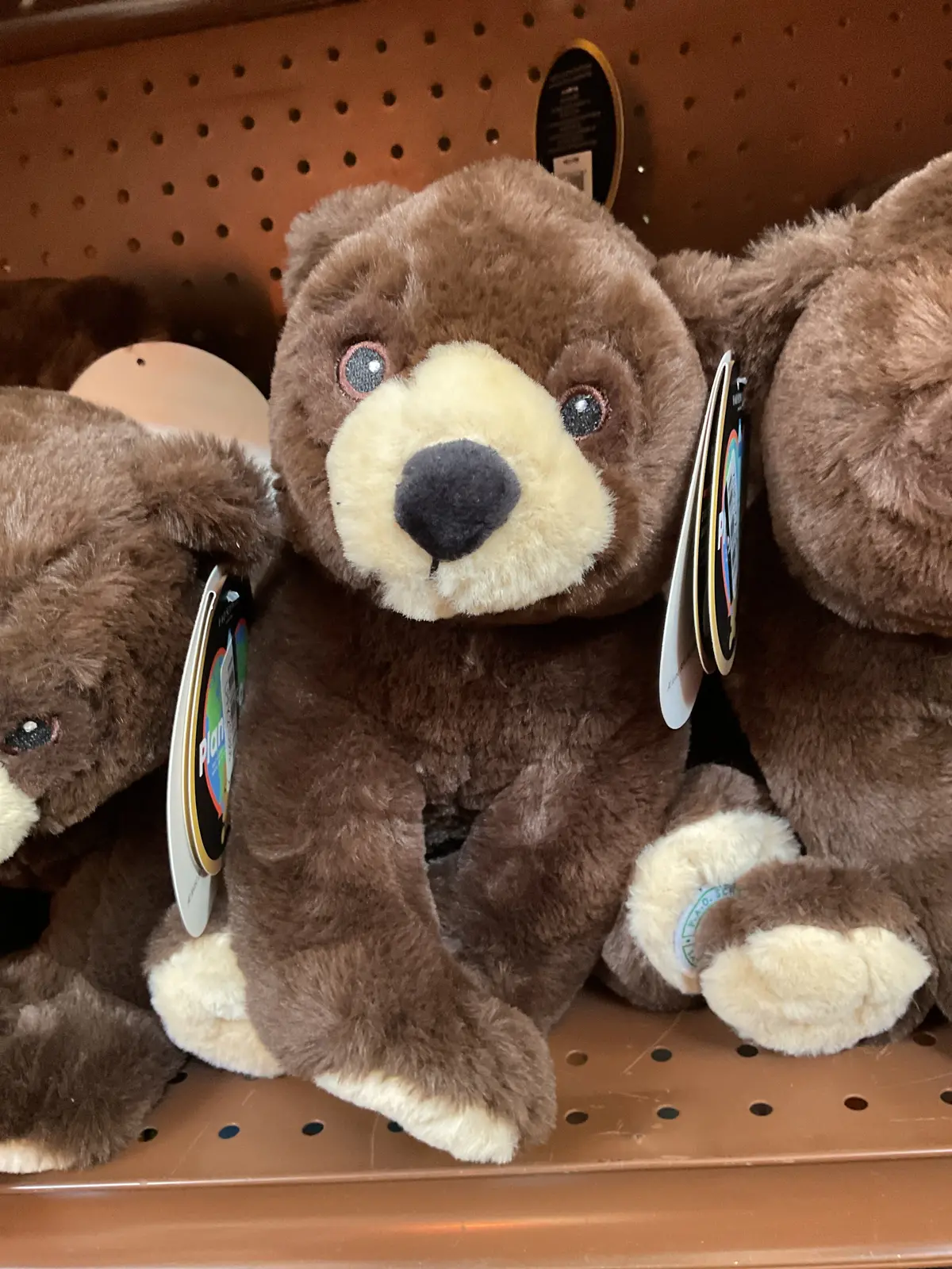 Fao Schwarz Toy Plush Sustainable Bear 10" 1