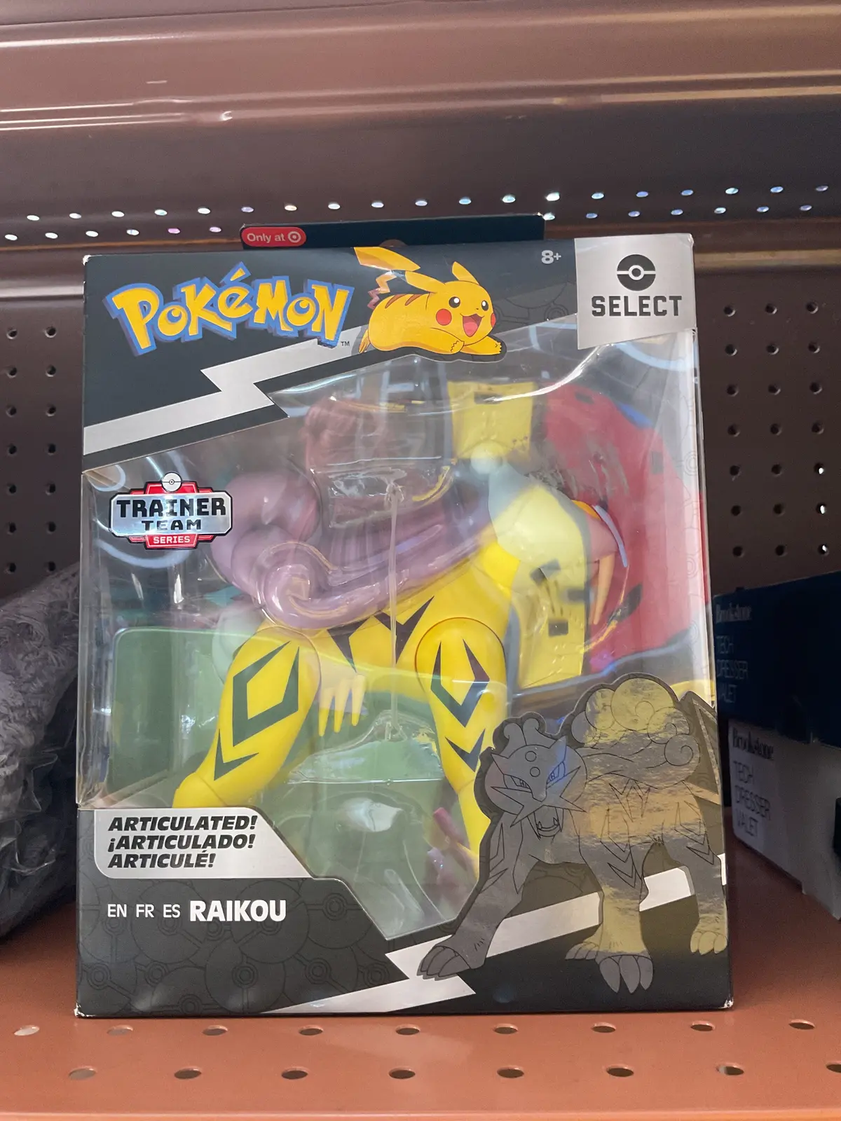 Pokemon Trainer Team Series Raikou Action Figure 1
