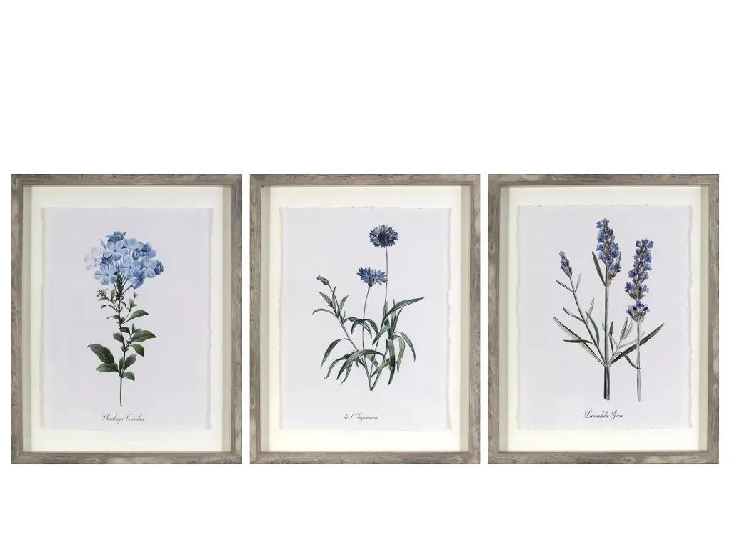 (Set Of 3) 16"X20" Framed Vintage Botanicals Decorative Wall
Art Natural/Blue 1