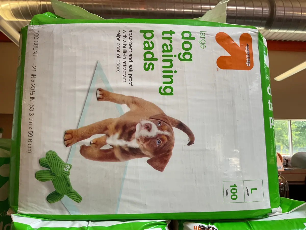 Dog Training Pads - L - 100Ct 1