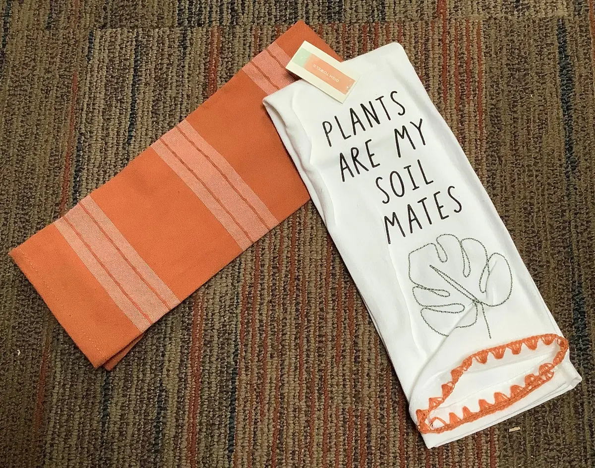 Dish Towel 2 Packs (Variations) 1
