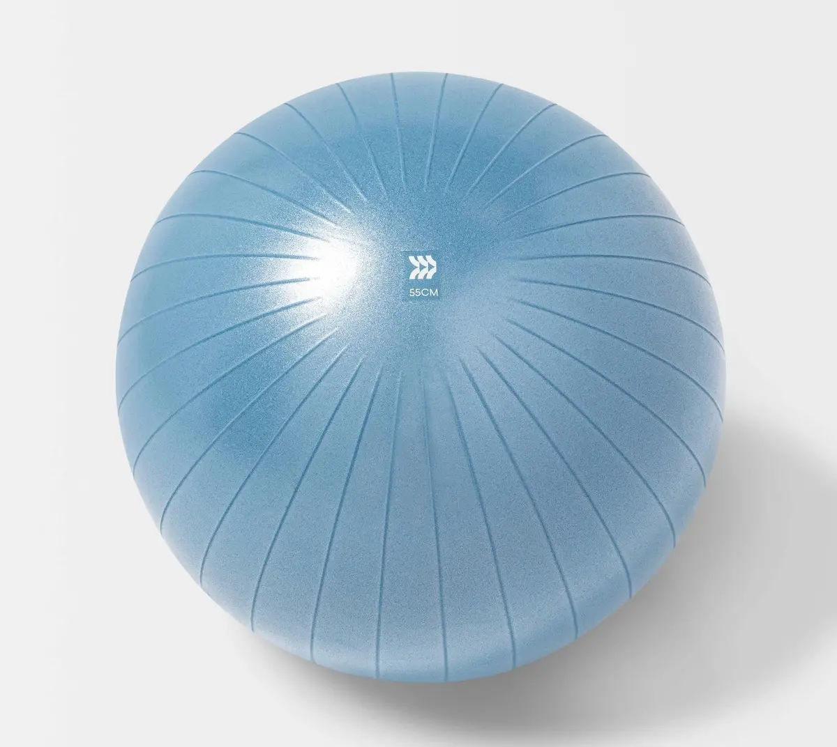 Stability Ball 55Cm Blue 1
