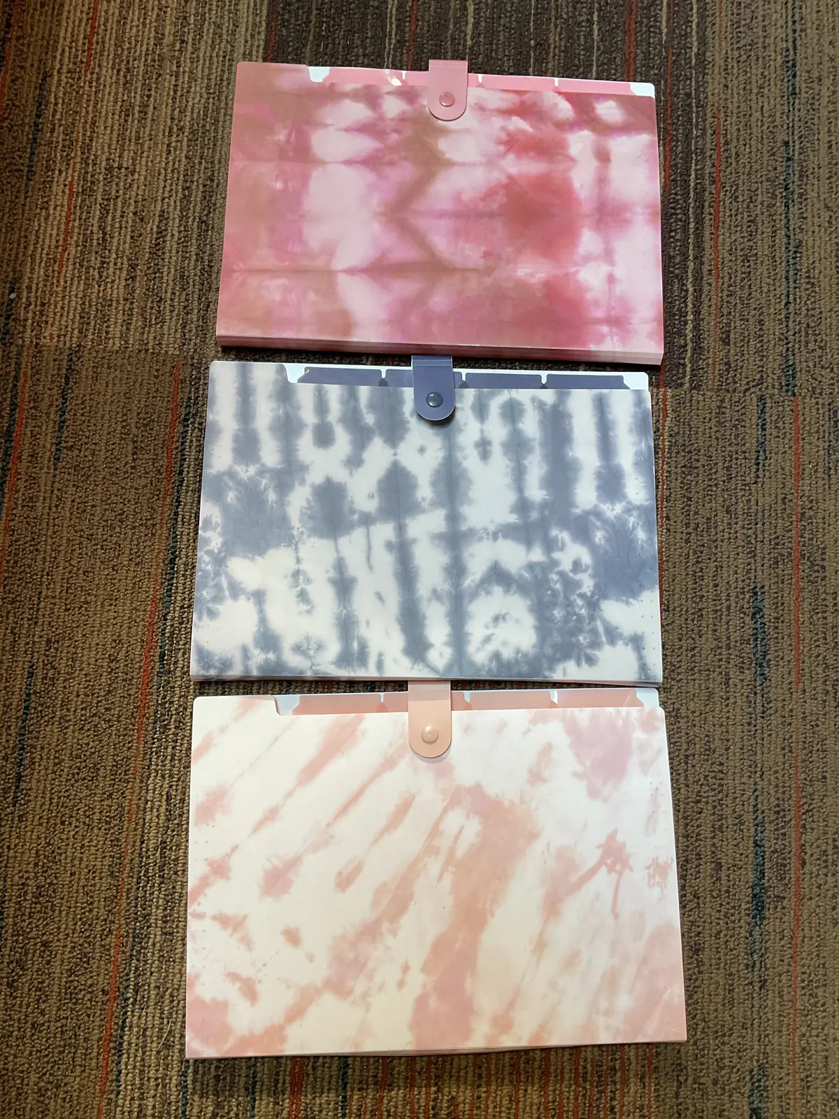 3Ct 5 Pocket Open Top Expandable Folder - Assorted Soft Dye 1