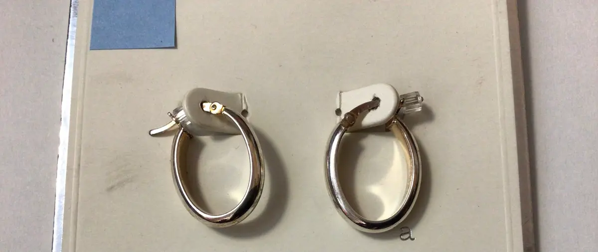 Mini Hoop Earrings 1