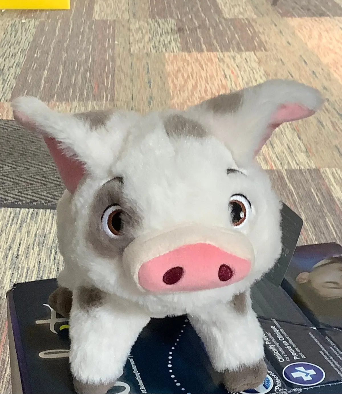 Disney Moana Plush - Pua 1