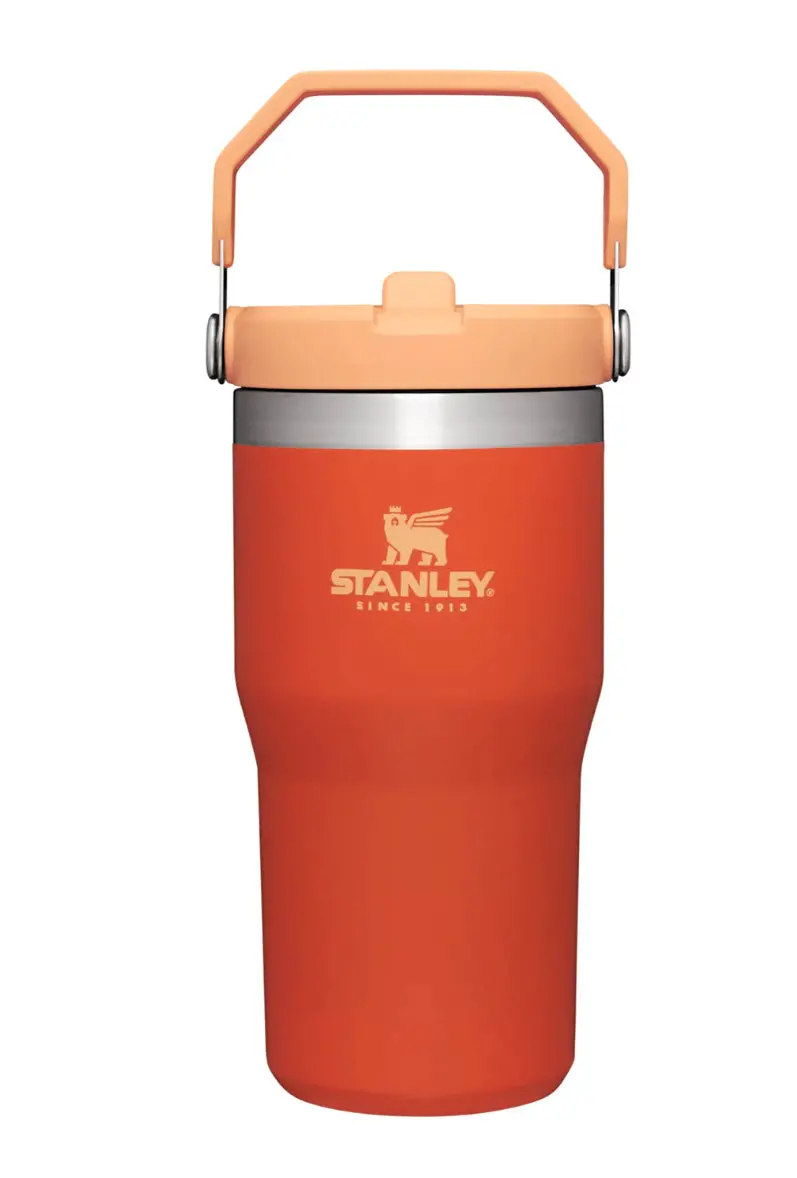 Stanley Flip Straw Tumbler 20Oz 1
