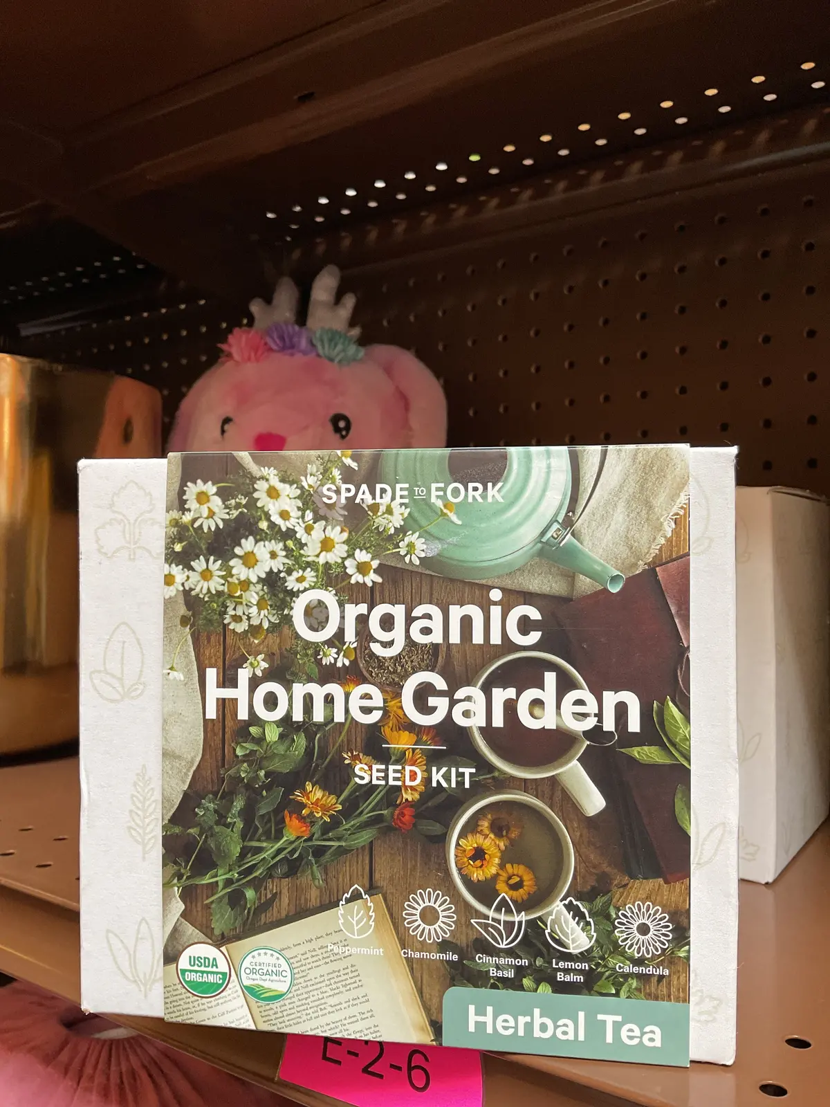 Organic Herbal Tea Garden Seed Kit 1