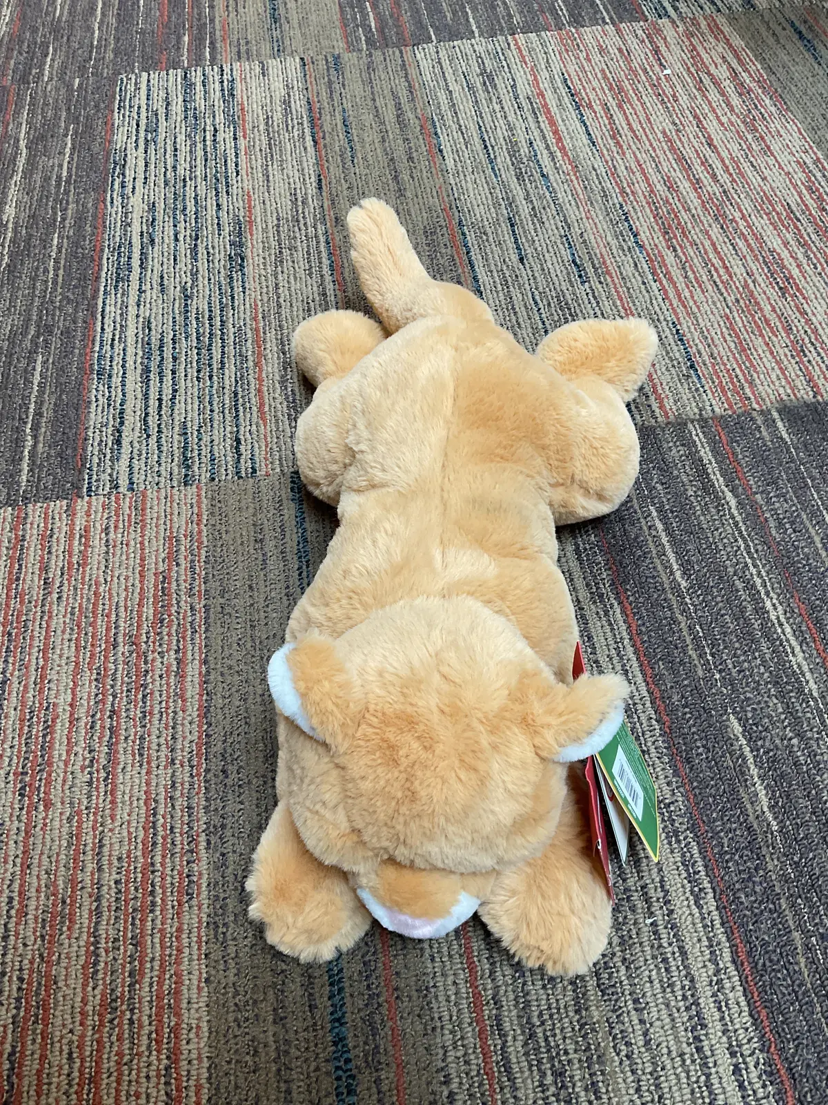 Fao Schwarz Adopt A Wild Pal Lion 22-Inch Plush 1
