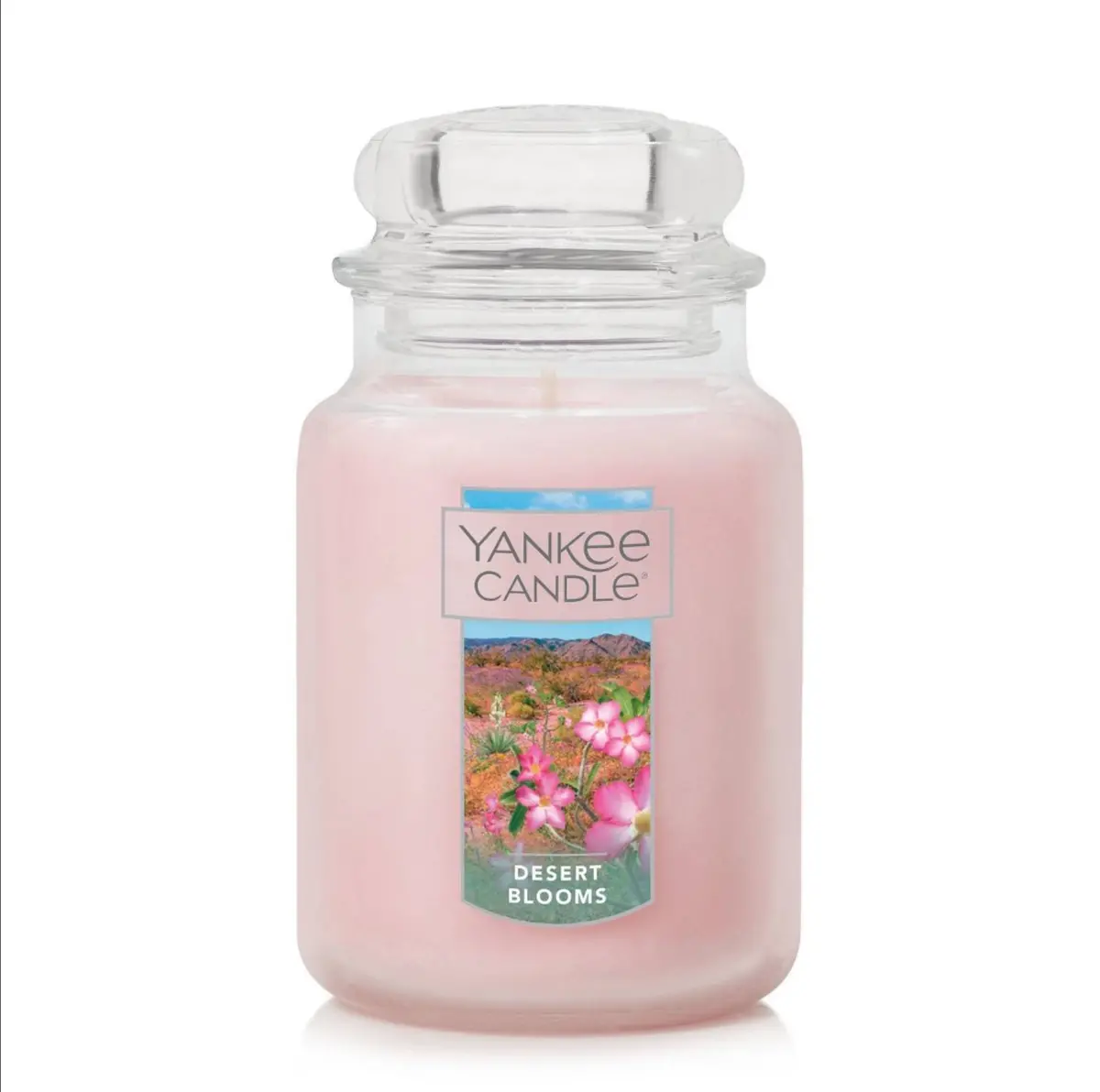 22Oz Classic Yankee Candle (Variations) 1