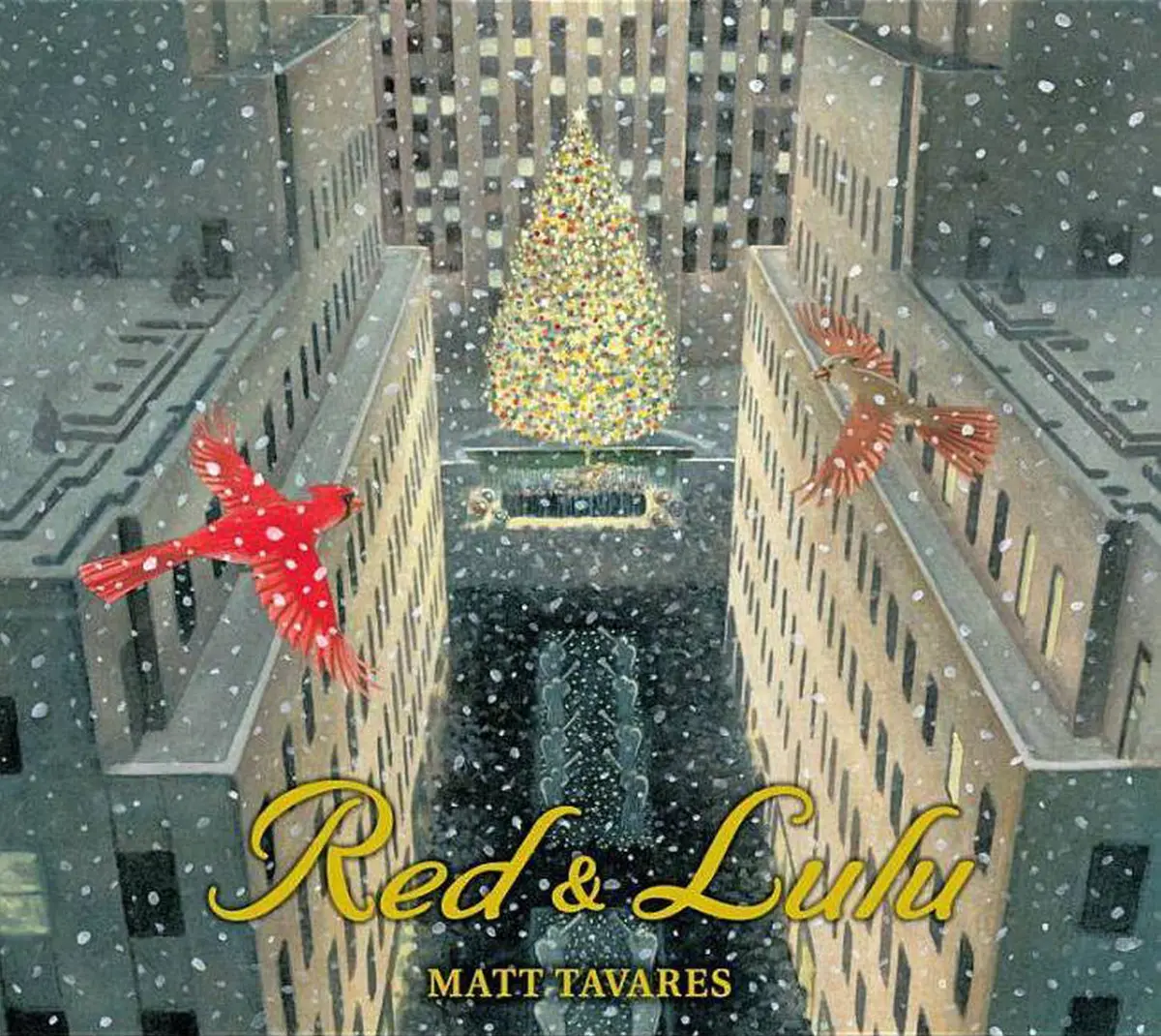 Red And Lulu - By Matt Tavares (Hardcover) 1