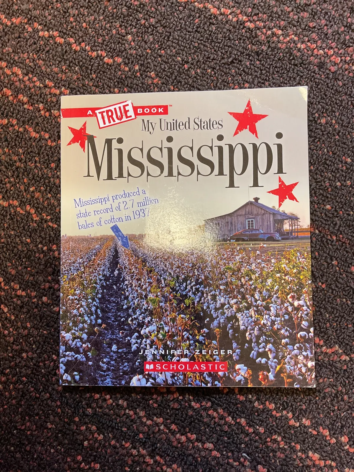 My United States Mississippi - Jennifer Zeiger 1