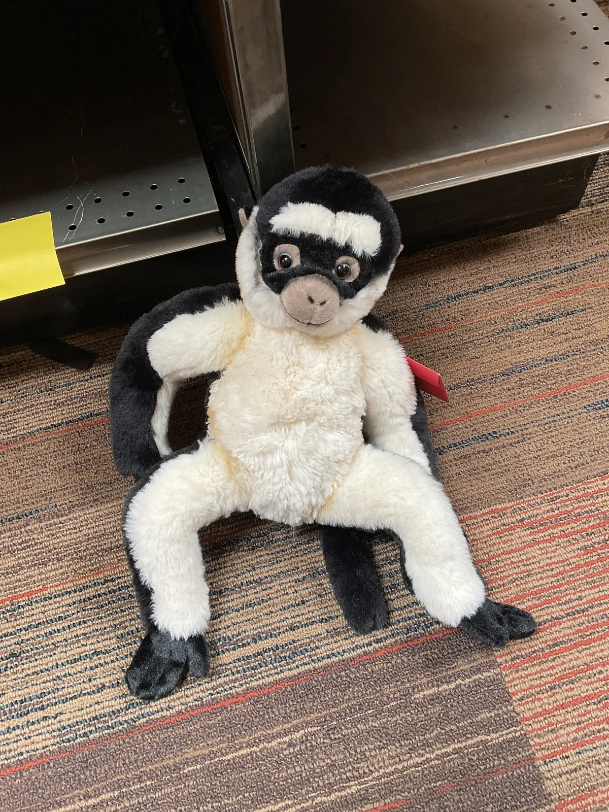Fao Schwarz
12" Adopt A
Wild Pal
Endangered
Spider Monkey
Plush 1