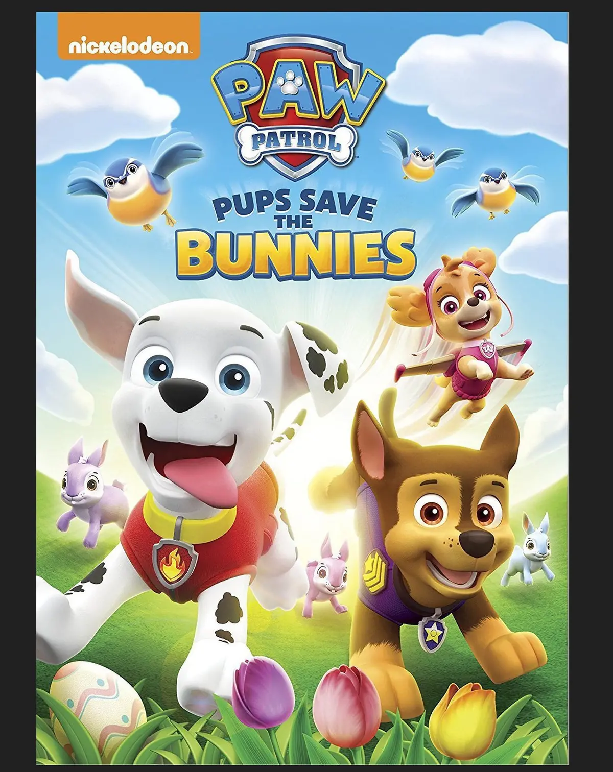 Paw Patrol: Pups Save The Bunnies (Dvd) 1