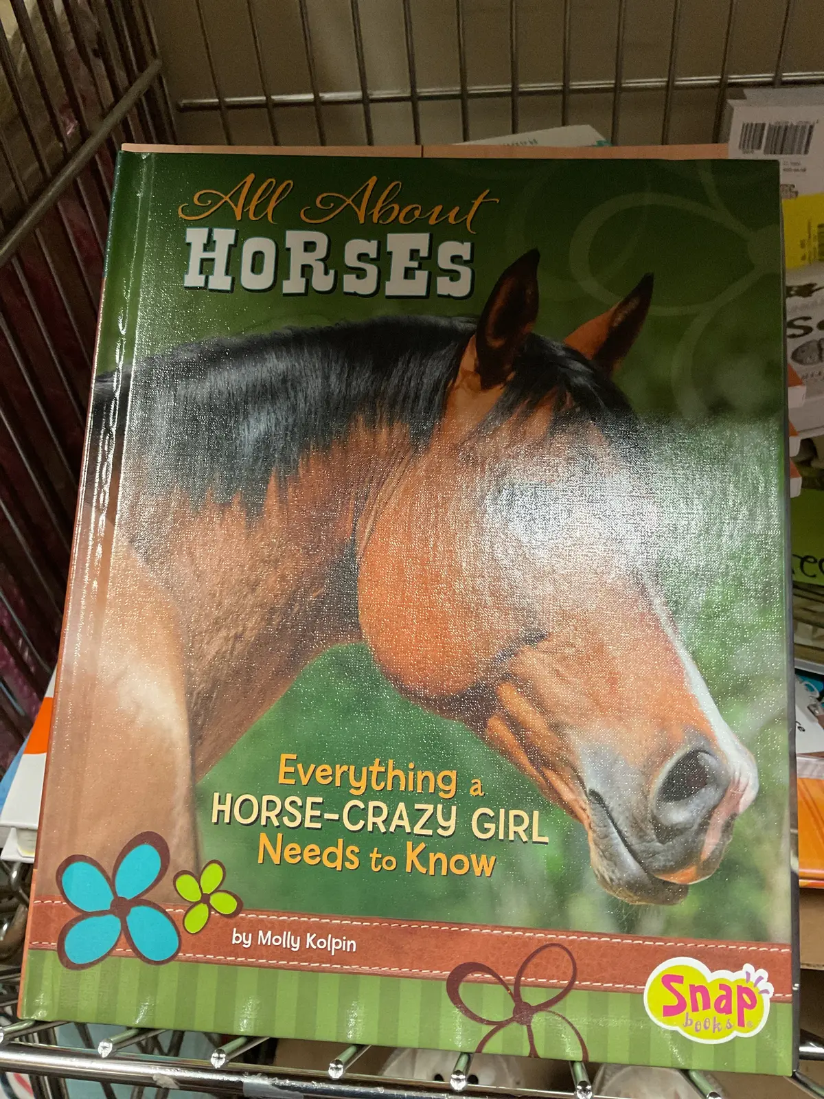 All About Horses (Hardcover) By Molly Kolpin 1