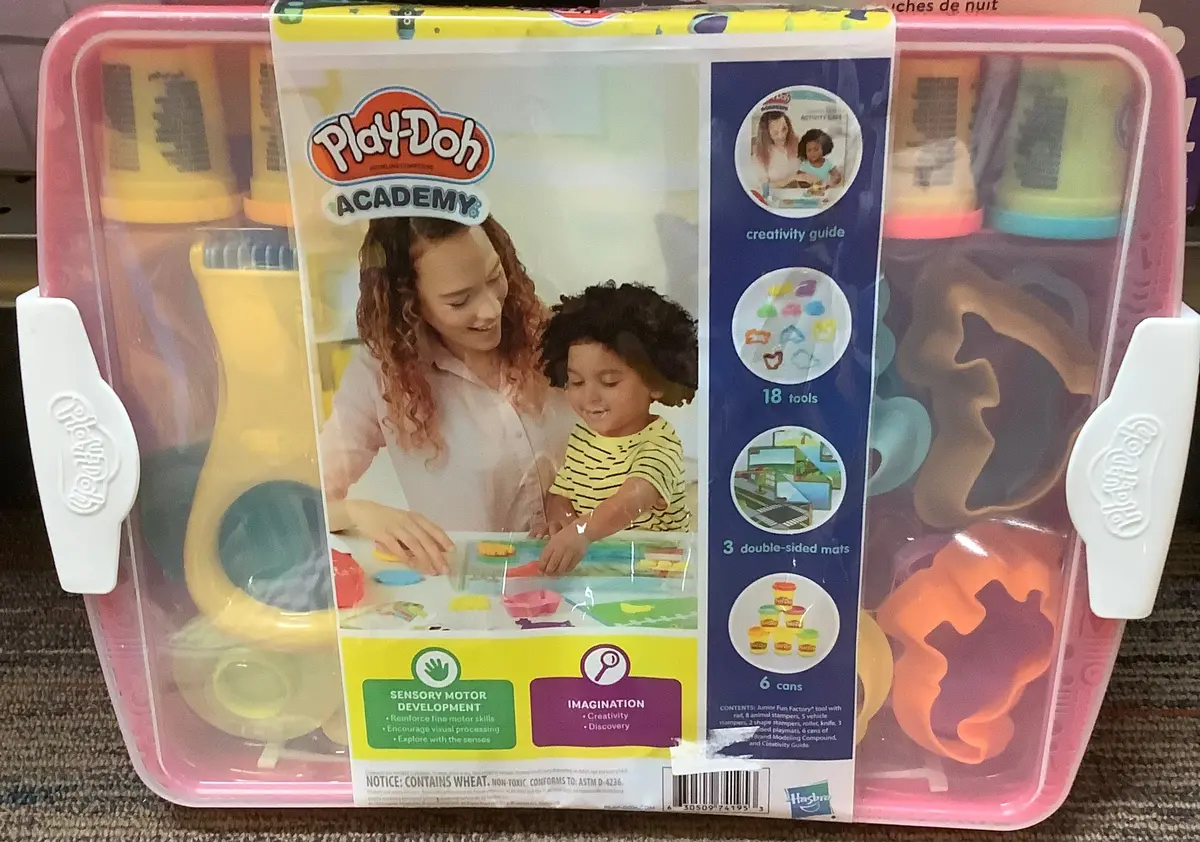 Play-Doh Academy Activity Case 1