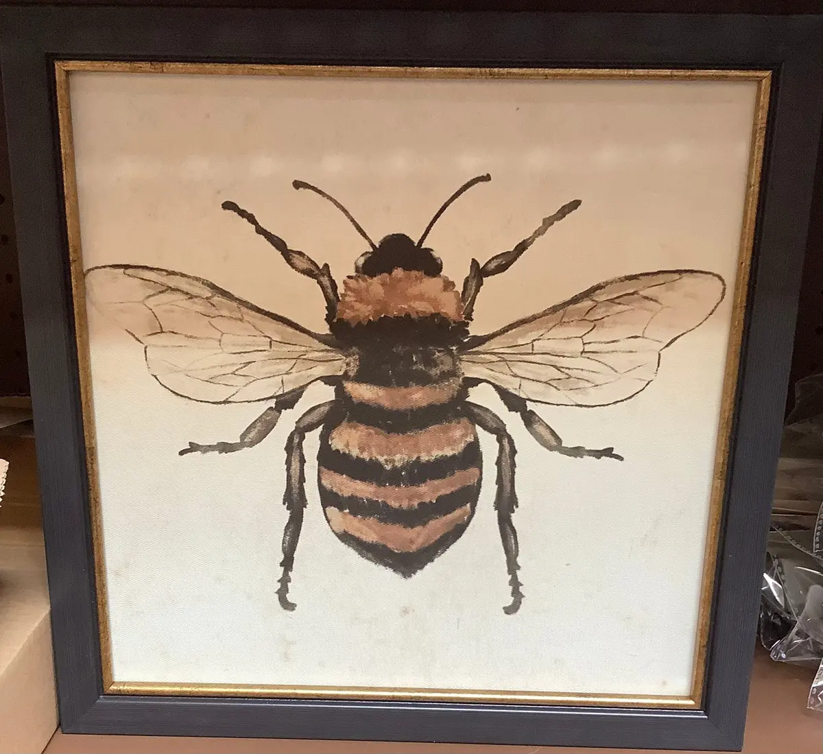 12" X 12" Bees Framed Wall Canvase 1
