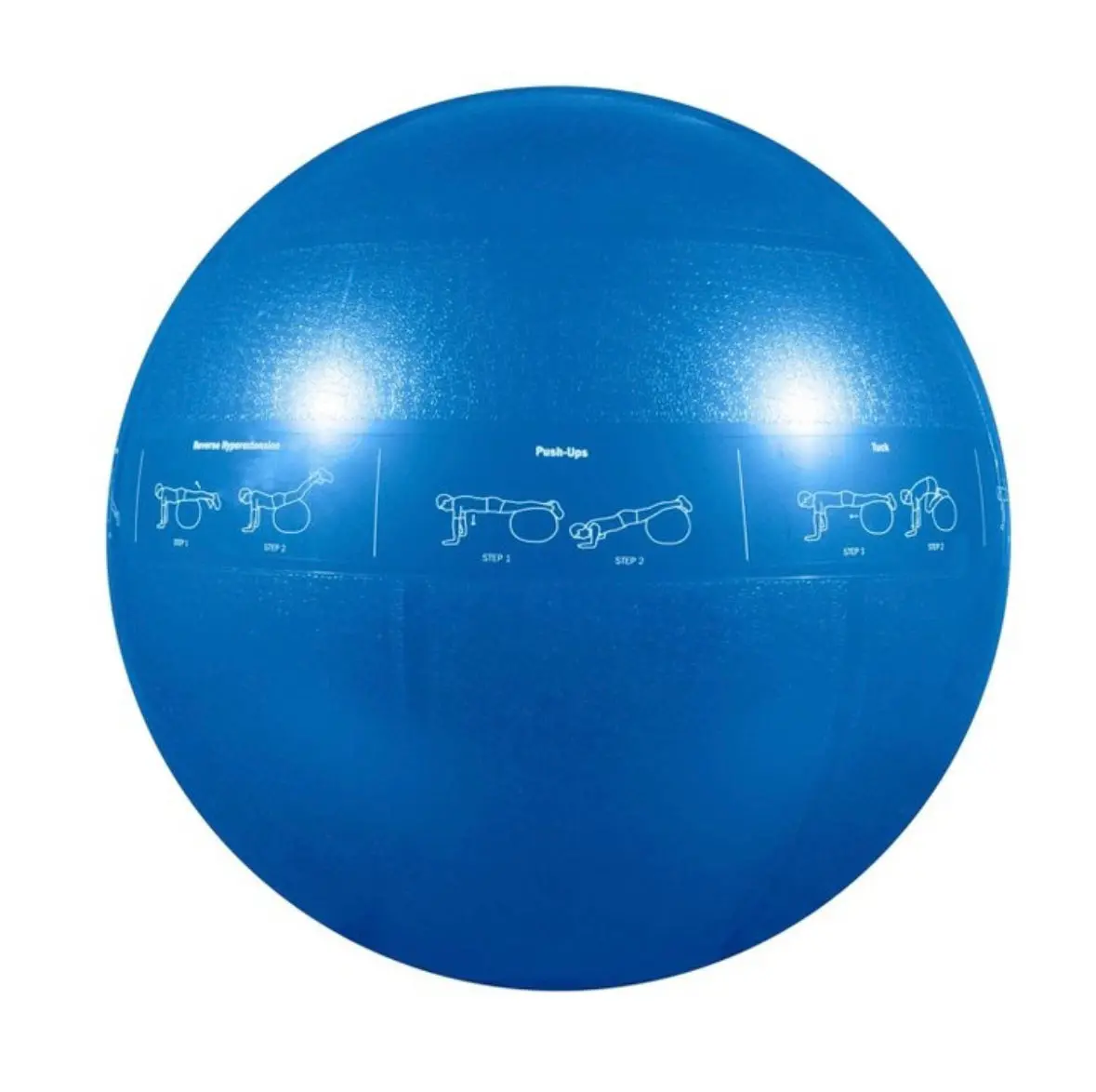 Gofit Guide Ball-Pro Grade Stability Ball - Blue (55Cm) 1
