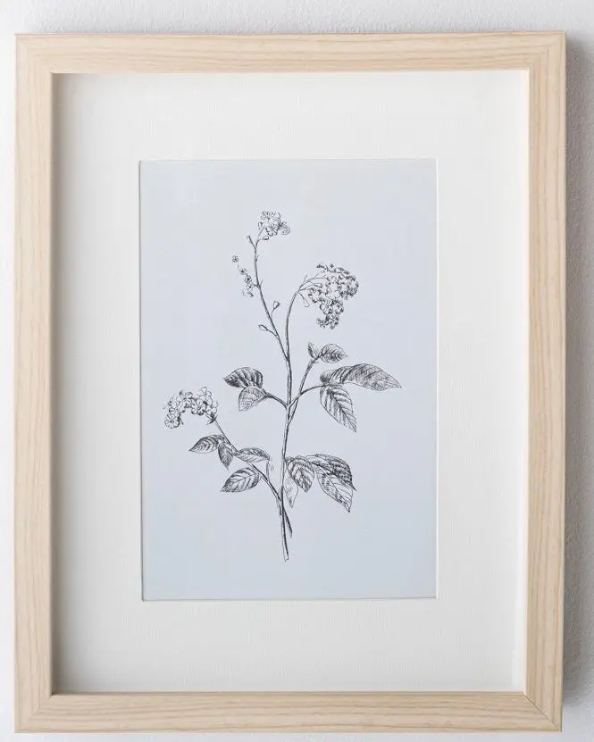 11" X 14" Wild Blossom Art Print 1