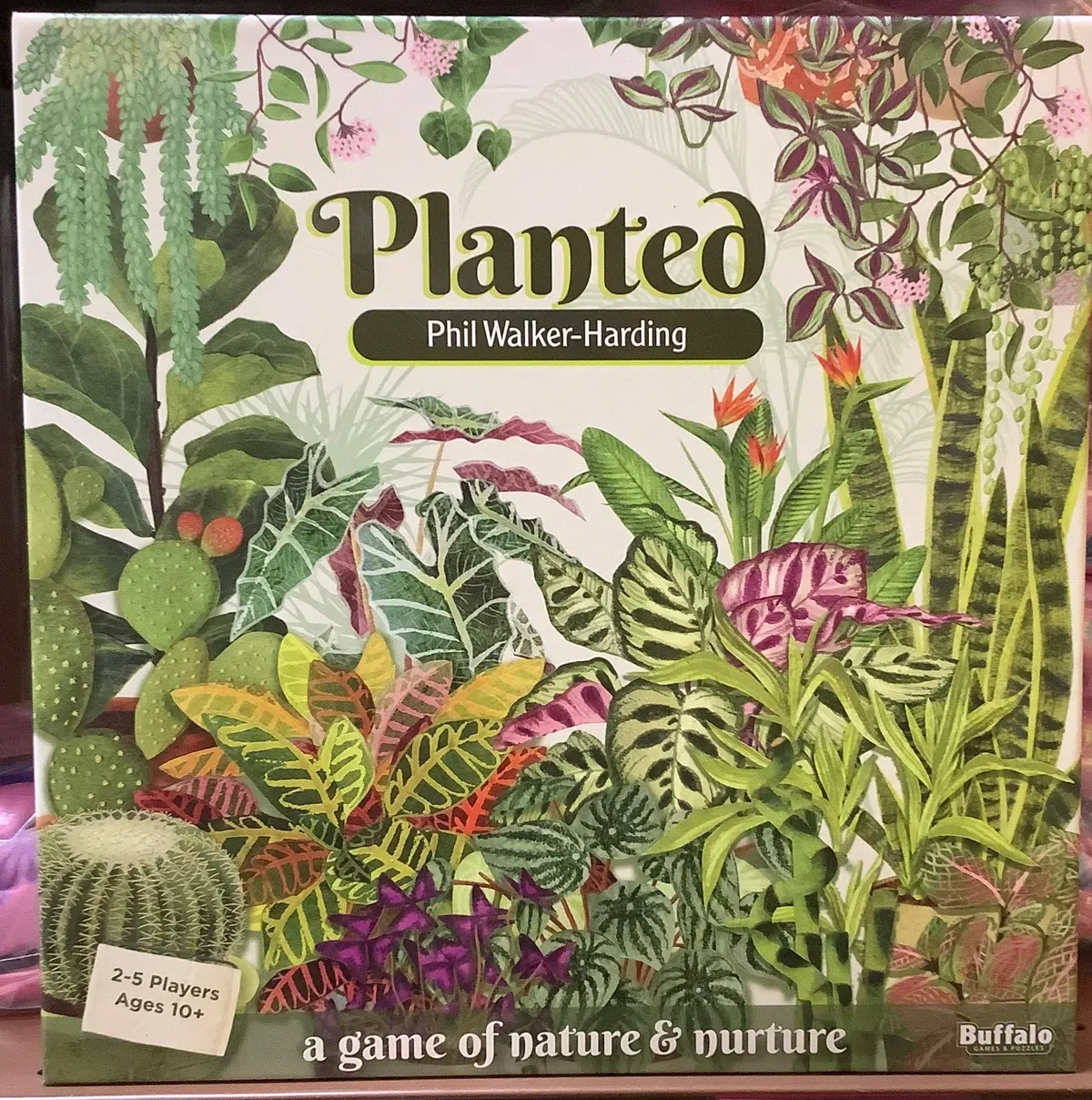 Buffalo Games Planted Board Game 1