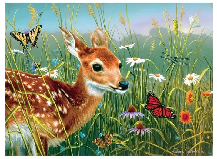 - 1000 Piece Jigsaw Puzzle For Adults 1
