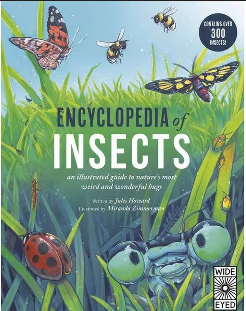 Encyclopedia Of Insects - By Jules Howard (Hardcover) 1