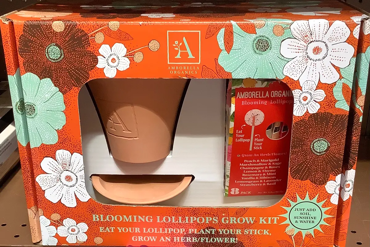 Amborella Organics Blooming Lollipops Grow Kit 1
