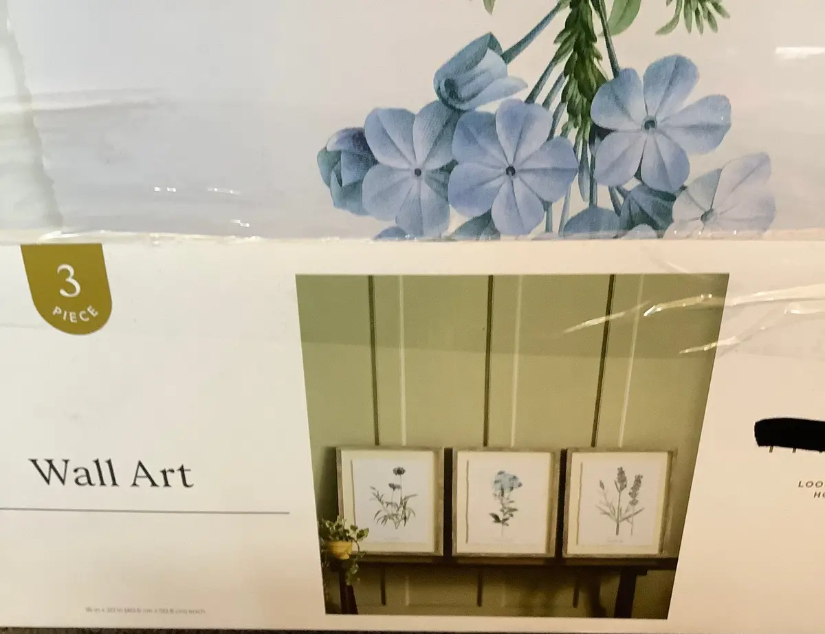 (Set Of 3) 16"X20" Framed Vintage Botanicals Decorative Wall
Art Natural/Blue 1