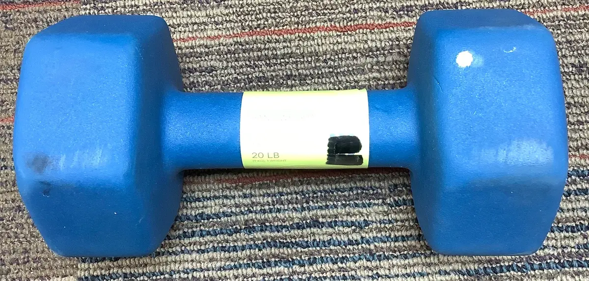 Few Scuffs Neoprene Dumbbell 20Lbs Blue 1