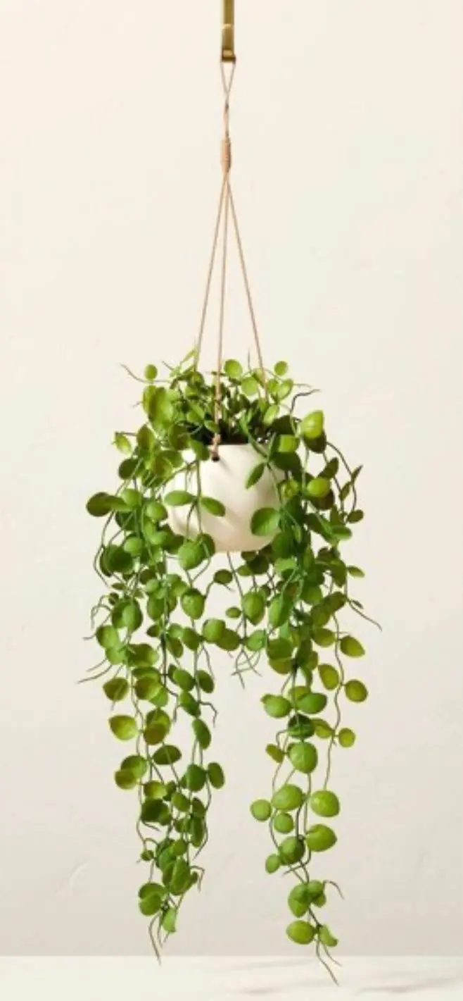 31" Faux Button Fern Hanging Plant 1