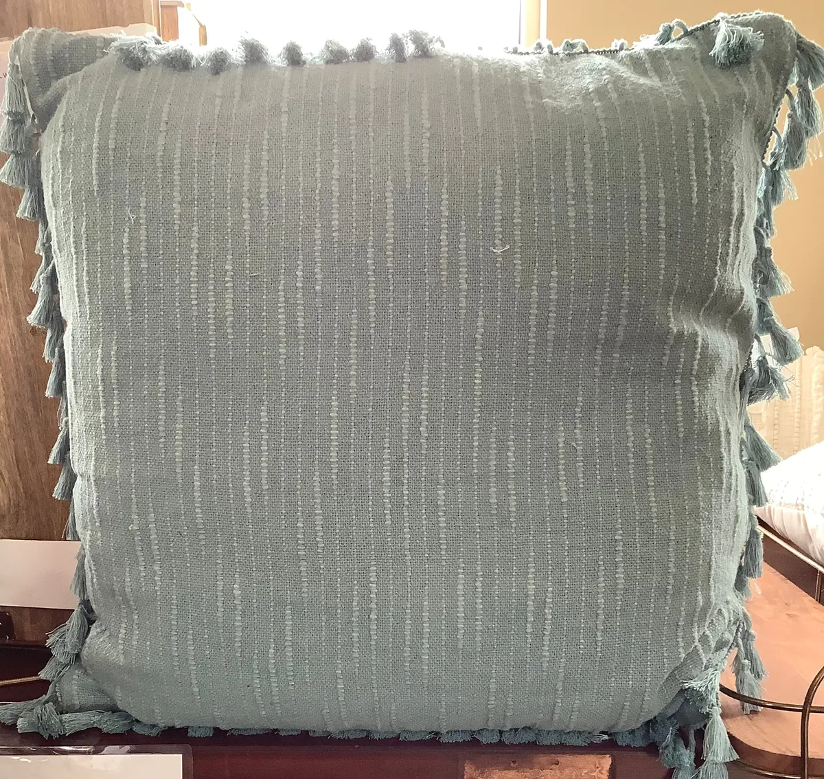 Euro Textured Slub Tassel Decorative Throw Pillow Light Teal
Blue 1