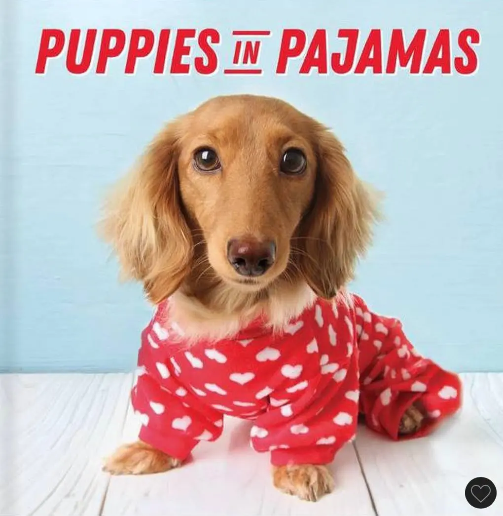 Puppies In Pajamas (Hardcover) 1