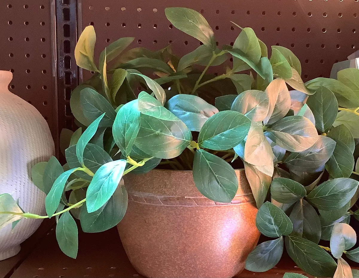 Large Artificial Trailing Gentian Plant 1