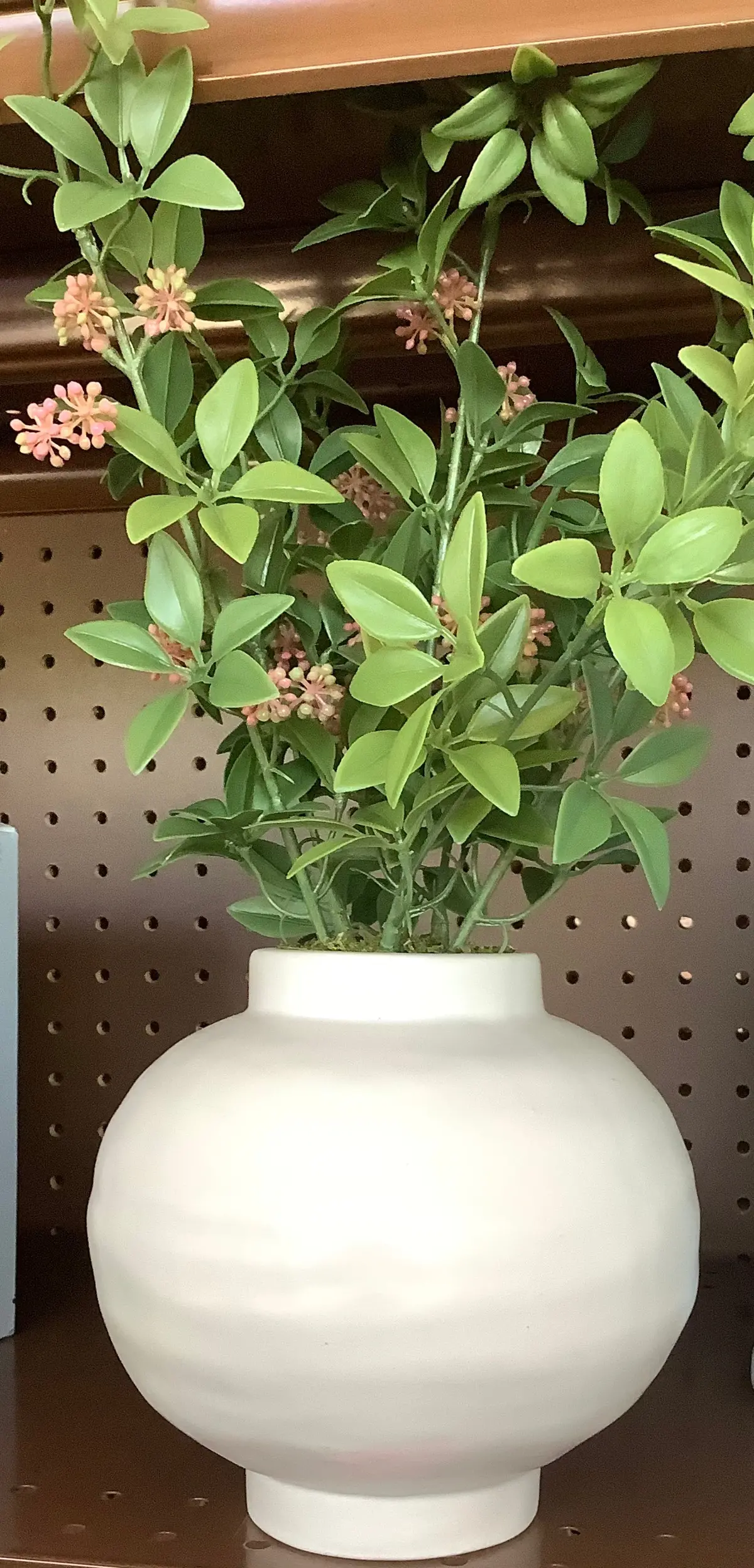 Tabletop Arrangement 1