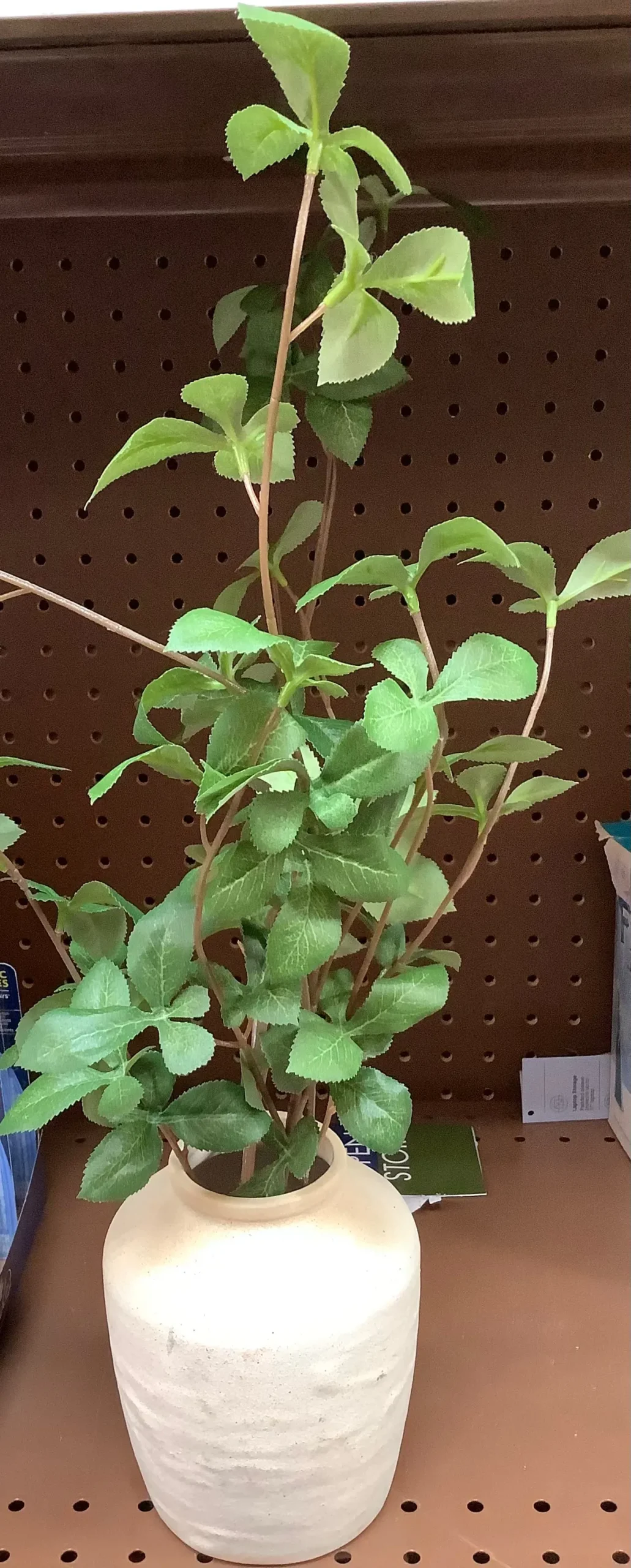Tabletop Arrangement 1
