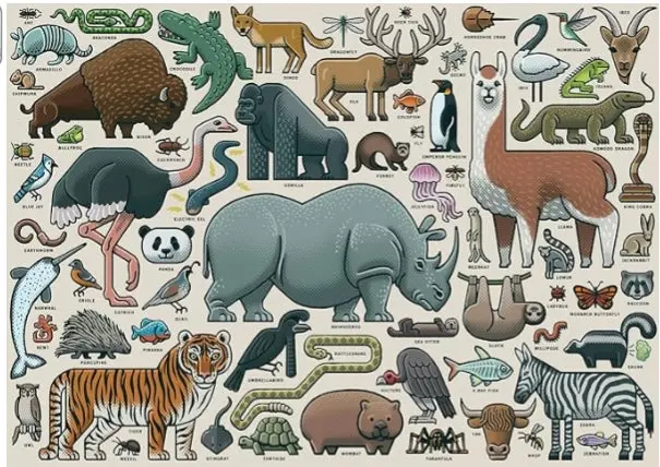 Ravensburger You
Wild Animal 1000
Piece Jigsaw Puzzle 1