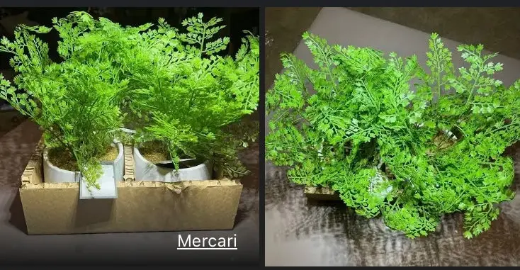 14" Faux Fern - 2 Pack -| Color: Green 1