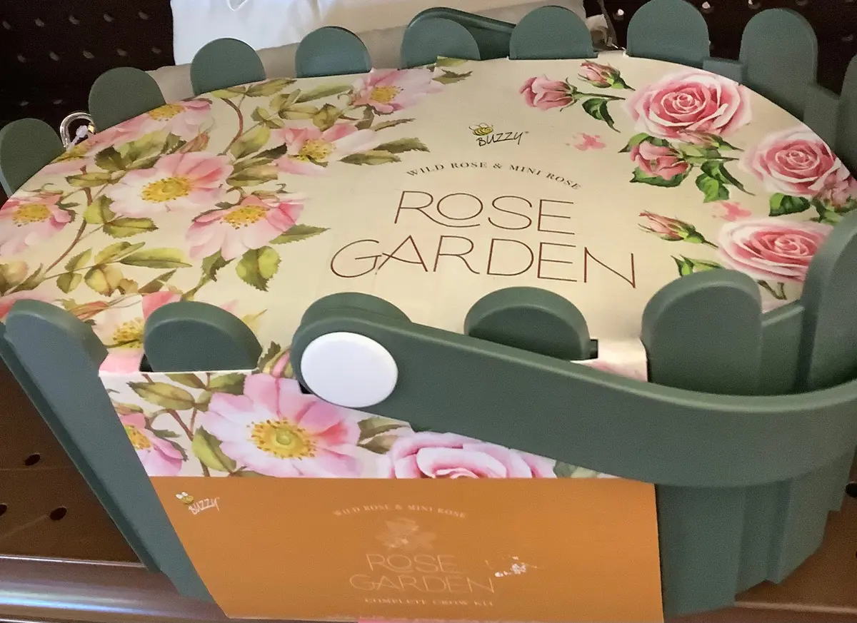 Buzzy Seeds Rose Garden Basket 1