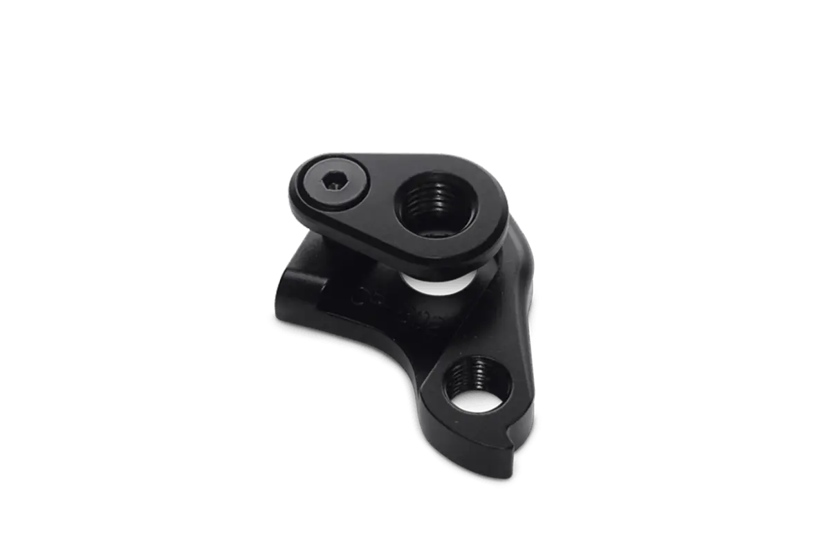 Chapter 2 Rear Derailleur Dropout Disc Tere & Rere 1