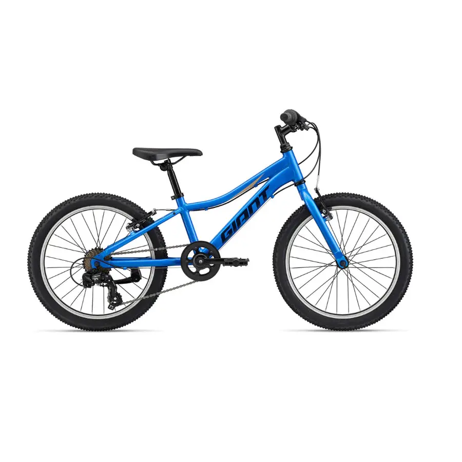 Giant Xtc Junior 20 Inch Bicycle Azure Blue 1